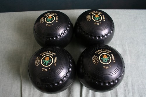 Taylor vector size bowls - taylor,
