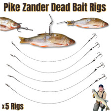 5 PIKE ZANDER RIGS DEAD BAIT