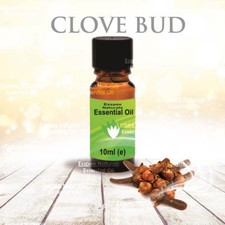Clove Bud Essential Oil 10ml - 100% Pure - For Aromatherapy & Home Fragrance