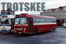 35mm Colour Negative Fife