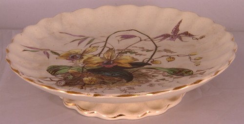 Whiteleys flora raised dish - raised,