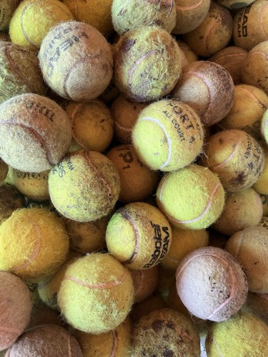 Used tennis balls - used,