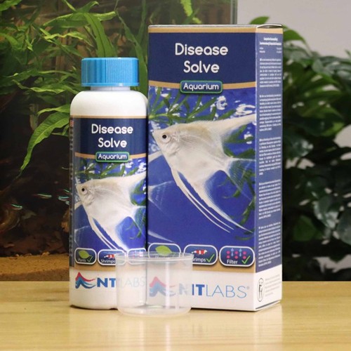 Labs aquarium disease solve - aquarium,