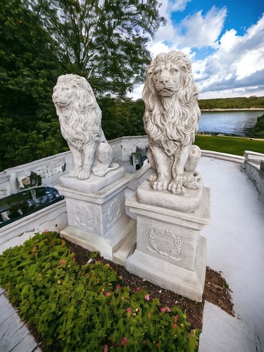 Large pair stone lion - stone,