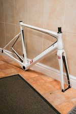 Intuition 13 Alpha - Carbon