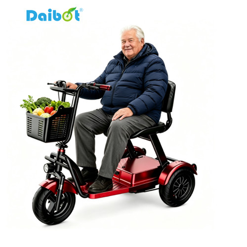 Daibot wheel folding trike - daibot, 3