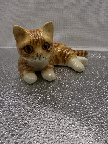 Winstanley ginger cat - ginger,