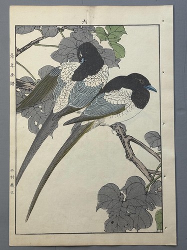 1892 imao keinen - imao,