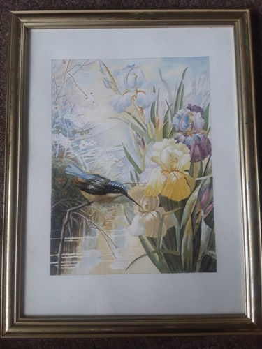 Original watercolour a - of,