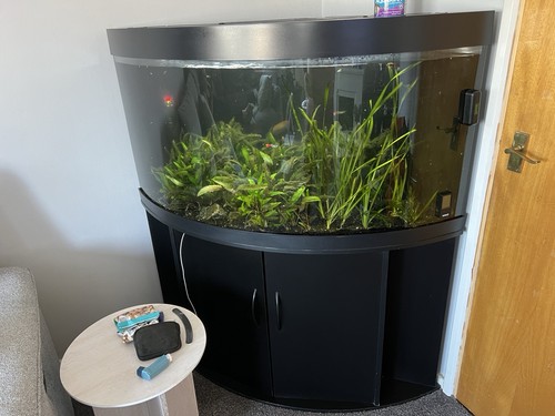 Juwel trigon 350l aquarium and - aquarium,