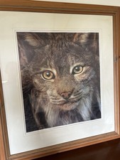 Carl Brenders print " Spellbound " Rare Limited  855/950