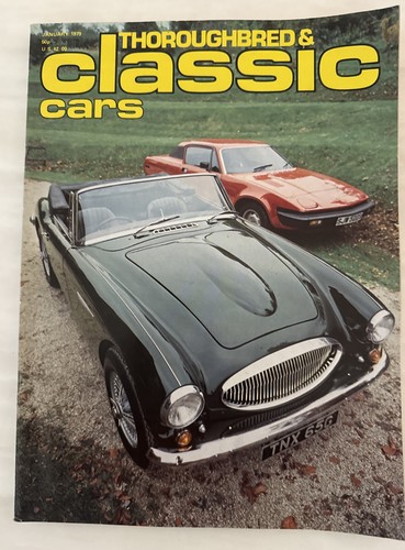 Thoroughbred classic - thoroughbred,