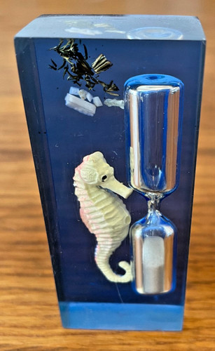 Seahorse hourglass sand timer - seahorse,