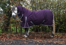 Turnout Rug Horse Rug |