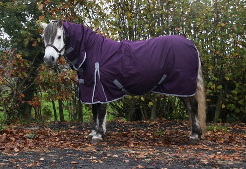 Turnout rug horse - rug,
