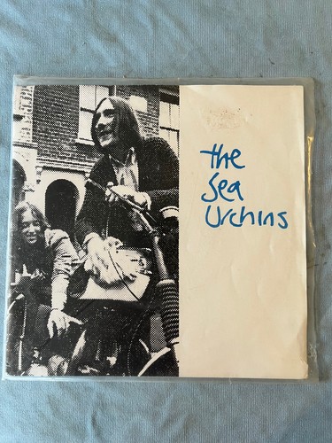 The sea urchins solace - urchins., /