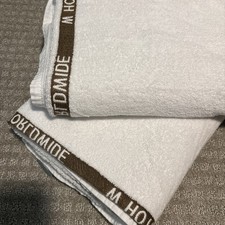 W Hotels Worldwide Branded