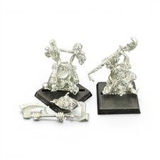Night Goblins Boss and Shaman