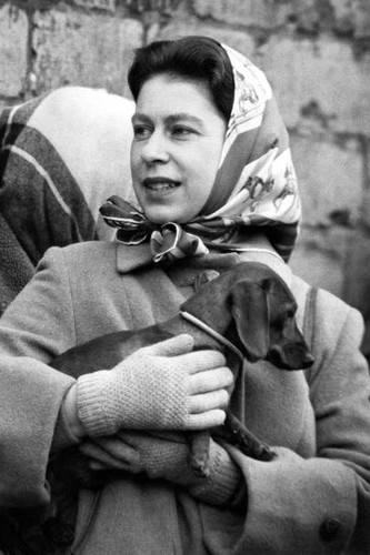 Queen elizabeth 4x6 photo - elizabeth,