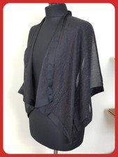 Coast Black Sheer With Silver