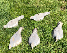5 Decoy Pigeons Decoys HALF
