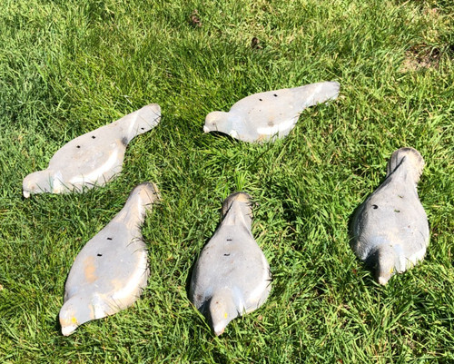 Decoy pigeons decoys half - 5,