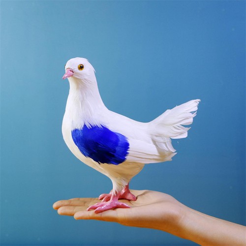 Artificial pigeon model fake - artificial,