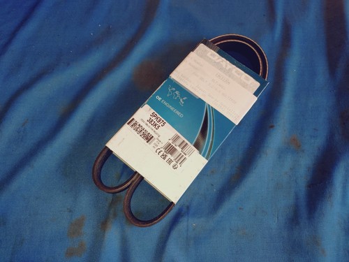 Jaguar daimler alternaor belt - jaguar,