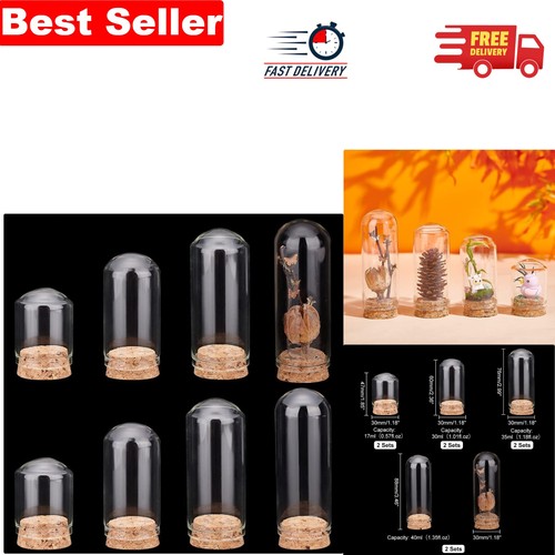 Versatile 8pcs glass cloche - versatile,