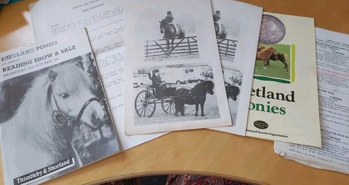 Shetland pony collection - shetland,