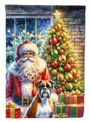 Boxer moments with - boxer, santa