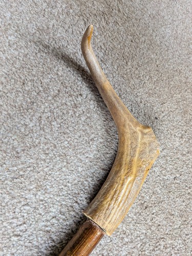 Antler horn handle - horn, walking