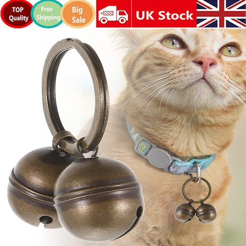 Loud cat collar - loud,