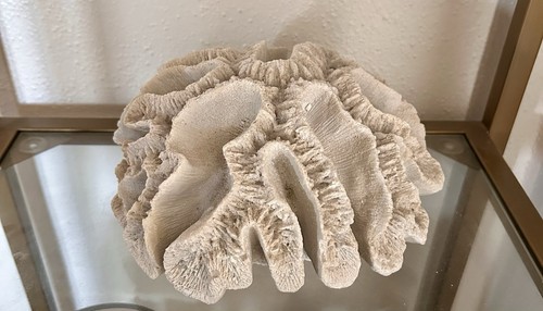 Vintage natural white brain - vintage,
