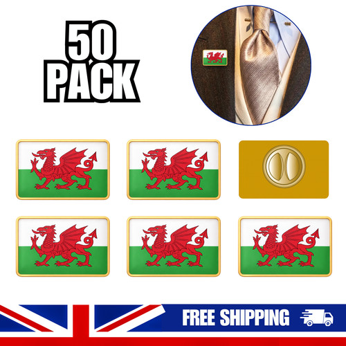 Welsh pin badge - pin, metal