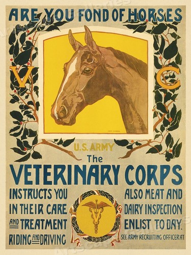 Army veterinary corps - us,