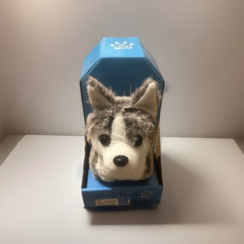 Motorised husky puppy - husky, puppy”