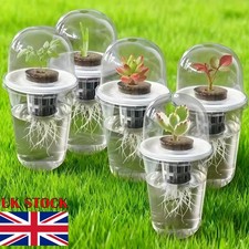 Visible Hydroponic Seed Pot