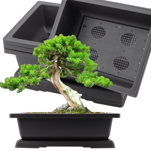 Inch plastic bonsai pots - bonsai,