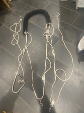 Horse Lunging Training Aid