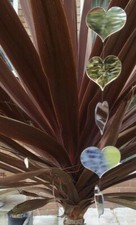 Garden Hanging Mirrors Hearts  Choose your length & Colour  Shows  BBQ  Pergola