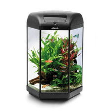 AquaEl Hexa 60L Tropical Fish