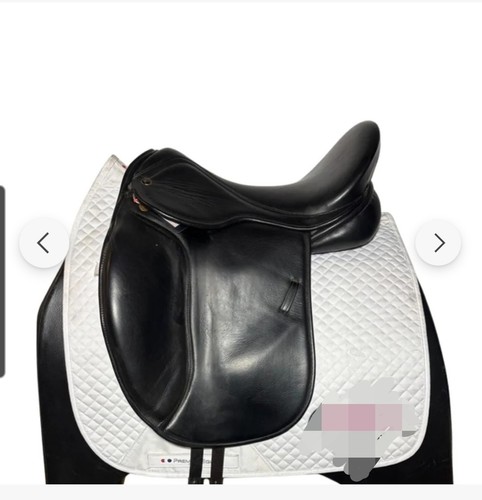Pony cob horse - cob, &