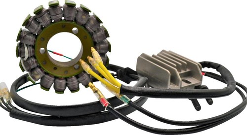 Ricks lithium ion charging - ricks,