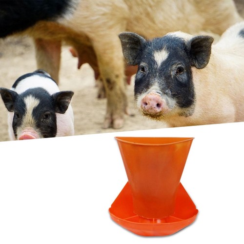 Piglet feeding trough supplies - trough,