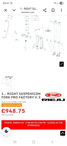 Rieju 300 suspension - rieju,