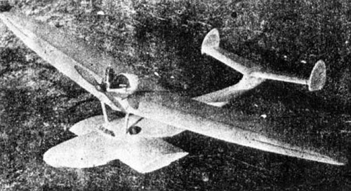 Blue goose seaplane - seaplane, 72"