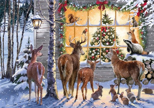 Otter house christmas - otter, visitors