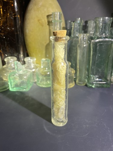 Vintage old corn snake skin - snake,