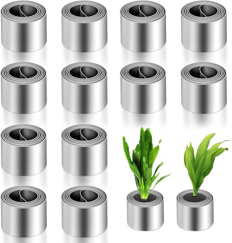 Rolls aquarium plant - rolls,
